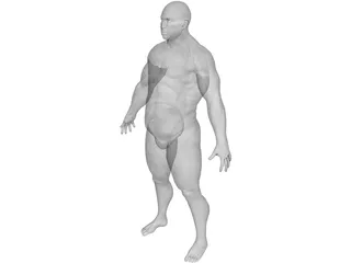 Man 3D Model