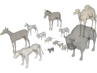 Animals Collection 3D Model