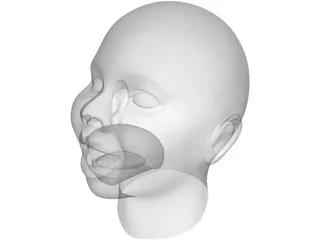 Baby Head 3D Model