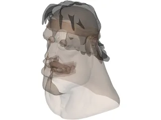 Face 3D Model