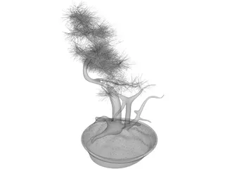 Bonsai Tree 3D Model