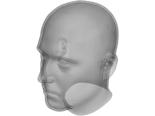 Human Male Scanned Head 3D Model