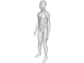 Man Human 3D Model