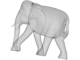 Elephant 3D Model