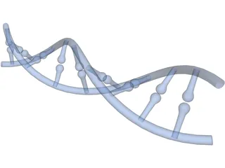 DNA 3D Model