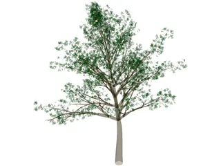 Tree 3D Model