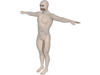 Man 3D Model