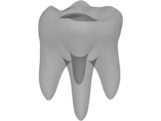 Tooth 3D Model