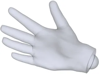 Human Hand 3D Model