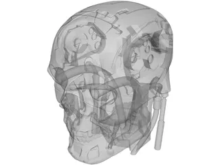 T800 Head 3D Model
