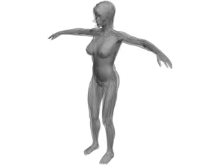 Female Anatomy Complete 3D Model