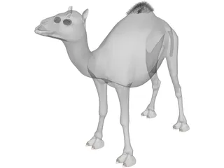 Camel 3D Model