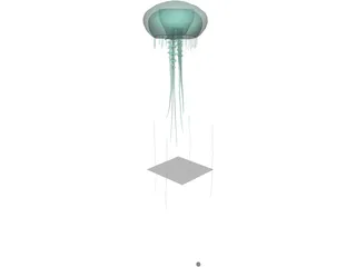 Jellyfish 3D Model