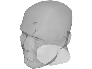 Male Human Head 3D Model