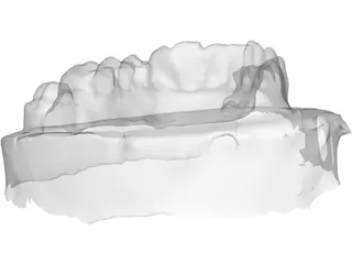 Teeth Stamp 3D Model