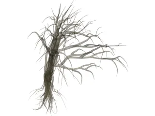 Dry Old Tree 3D Model