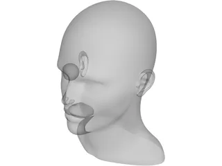 Human Head and Neck 3D Model