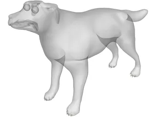 Dog 3D Model