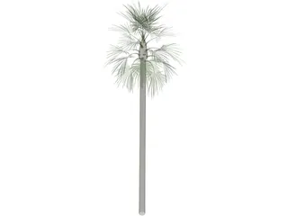 Tree Palm Fan 3D Model