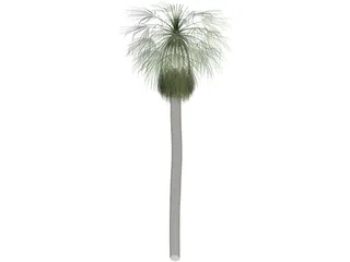 Tree Palm Washingtonia 3D Model