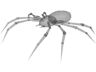 Poison Spider 3D Model