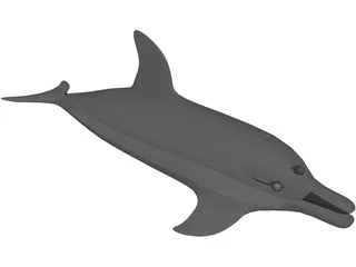 Dolphin 3D Model