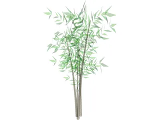 Bamboo Tree 3D Model