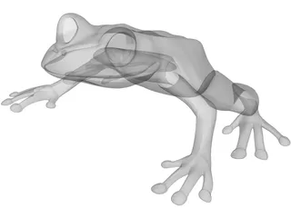 Frog 3D Model