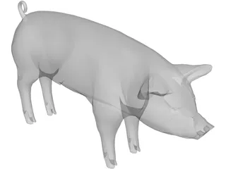 Pig 3D Model