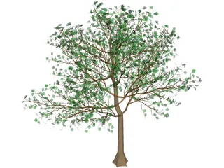 Arboli Tree 3D Model