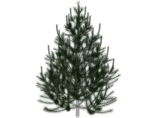 Pine Tree 3D Model