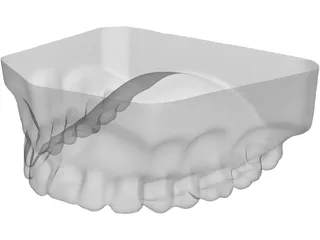 Teeth Upper Surface 3D Model