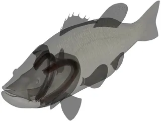 Largemouth Bass 3D Model