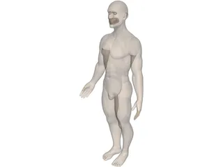 Human 3D Model