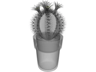 Cactus Pottet Round 3D Model