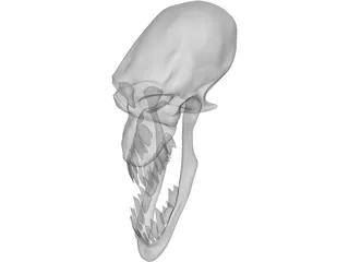 Monster Skull 3D Model