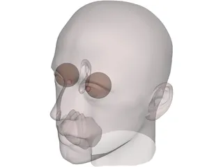 Man Head 3D Model