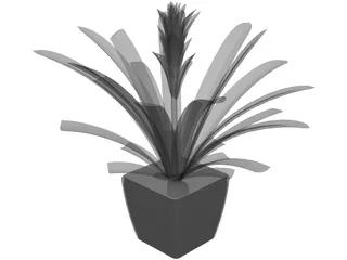 Potted Plant 3D Model