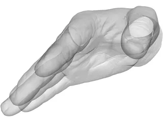 Right Hand Male 3D Model