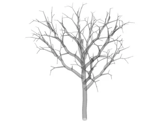 Dead Tree 3D Model