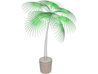 Palm Tree Plant 3D Model