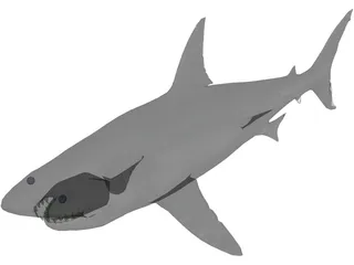 Great White Shark 3D Model