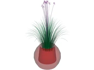 Plant Flower 3D Model