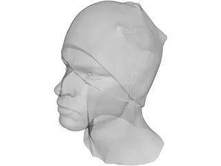 Head for Printing Decimated 3D Model