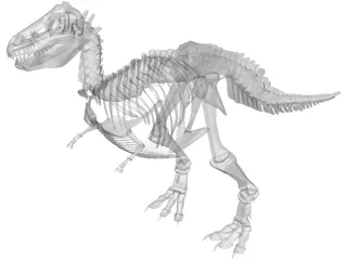 T-Rex Skeleton 3D Model