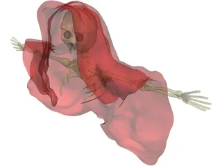 Skeletal Monster in Cloak 3D Model