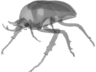 African Rose Beetle 3D Model