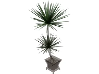 Yucca Plant 3D Model