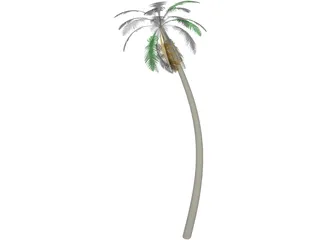 Tree Palm 3D Model