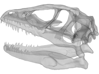 Dinosaur Skull 3D Model